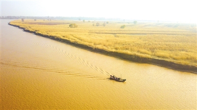 1574815848530952.jpg 2019112702.jpg